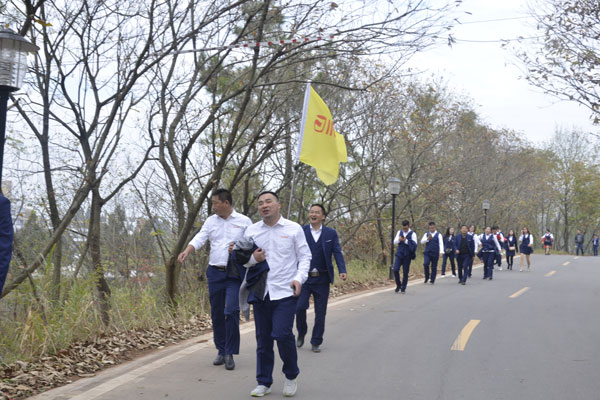 陽光行、快樂游